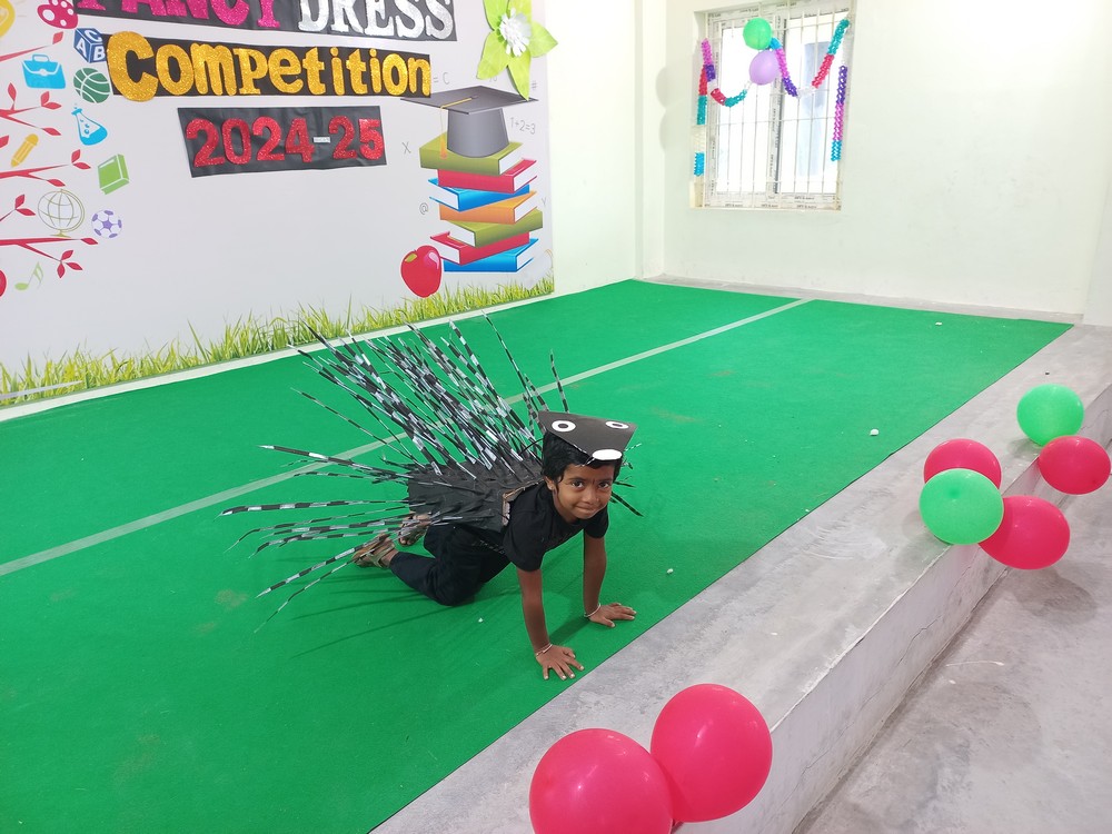 Fancy Dress Competition (UKG)- 2024-25